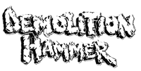 Demolition Hammer